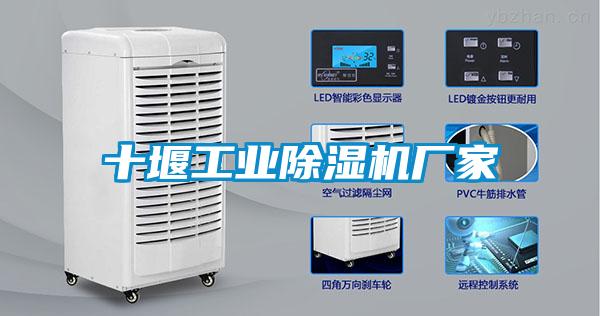 十堰工业除湿机厂家