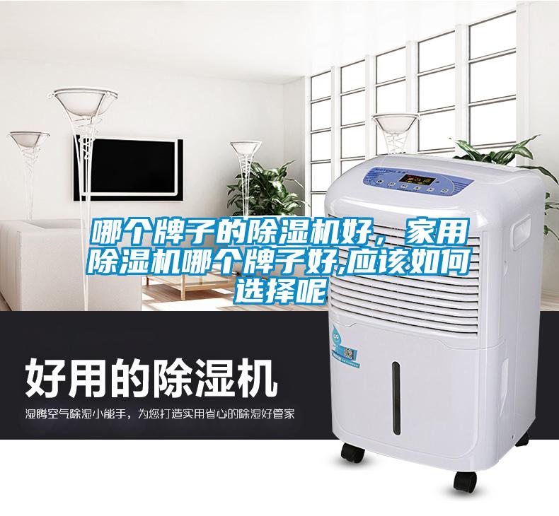 哪个牌子的除湿机好，家用除湿机哪个牌子好,应该如何选择呢