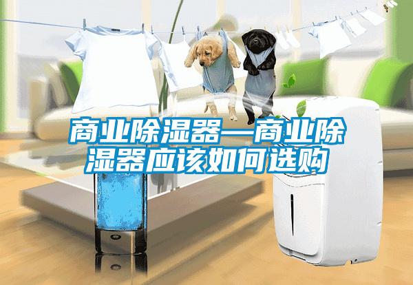 商业除湿器—商业除湿器应该如何选购