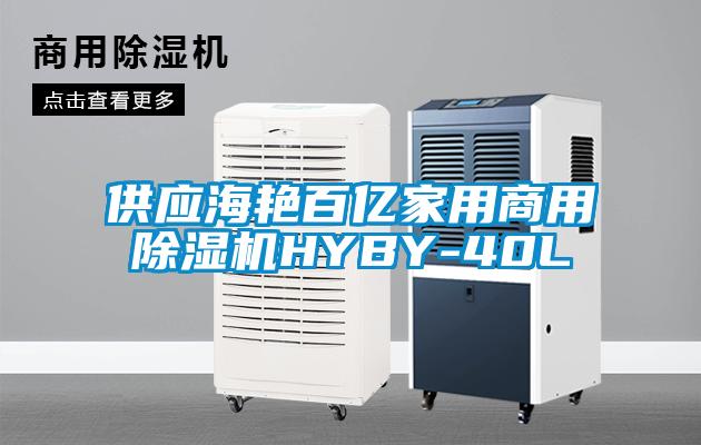 供应海艳百亿家用商用除湿机HYBY-40L