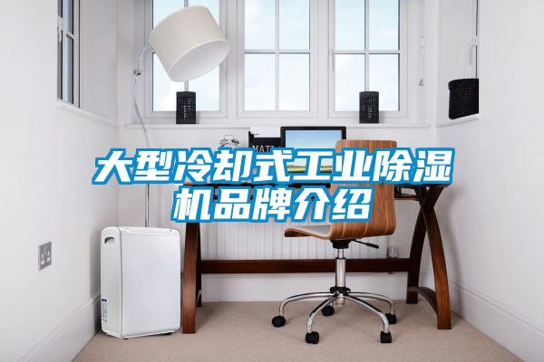 大型冷却式工业除湿机品牌介绍