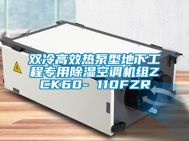 双冷高效热泵型地下工程专用除湿空调机组ZCK60- 110FZR