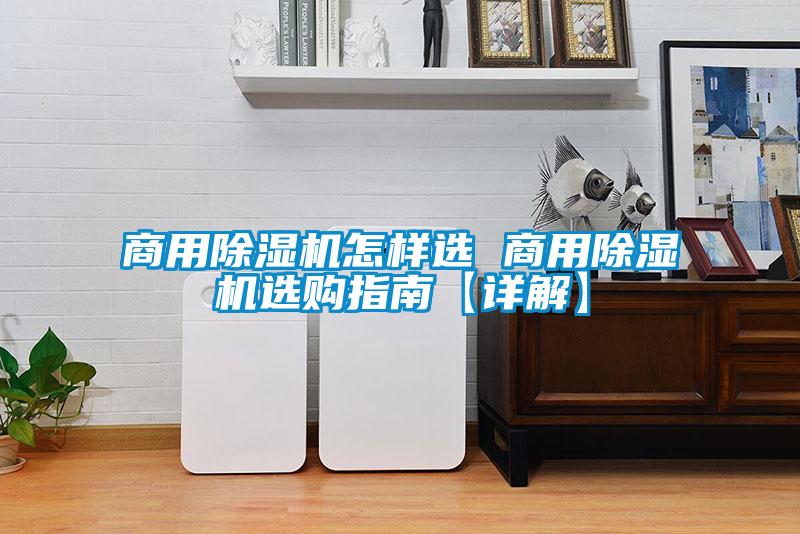 商用除湿机怎样选 商用除湿机选购指南【详解】