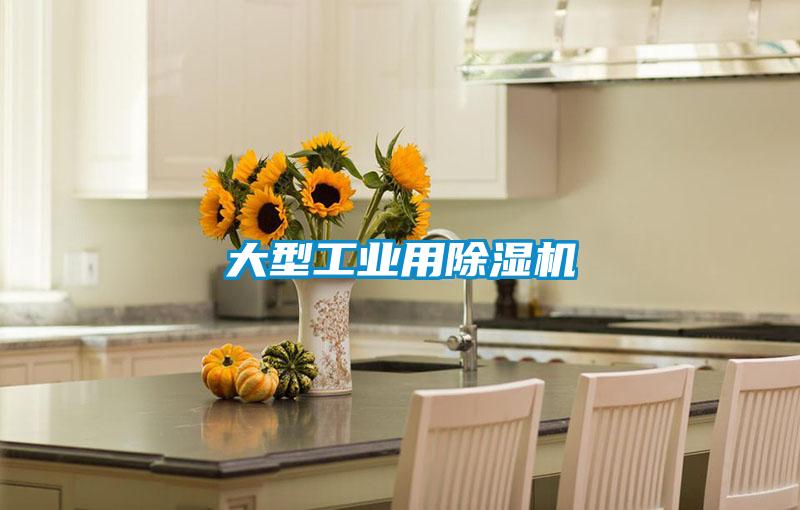 大型工业用除湿机