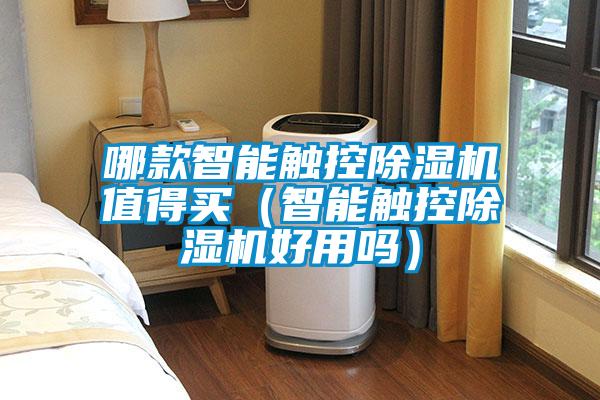 哪款智能触控除湿机值得买（智能触控除湿机好用吗）