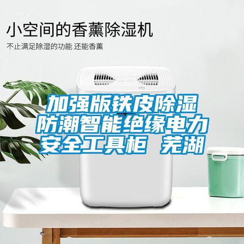 加强版铁皮除湿防潮智能绝缘电力安全工具柜 芜湖