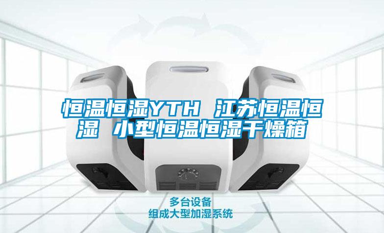 恒温恒湿YTH 江苏恒温恒湿 小型恒温恒湿干燥箱