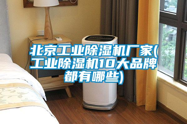 北京工业除湿机厂家(工业除湿机10大品牌都有哪些)
