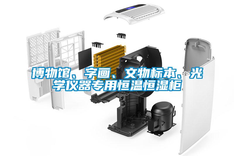 博物馆、字画、文物标本、光学仪器专用恒温恒湿柜