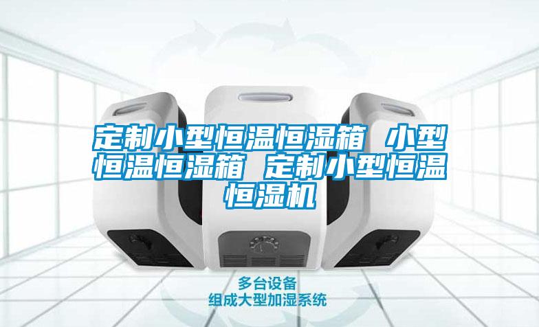 定制小型恒温恒湿箱 小型恒温恒湿箱 定制小型恒温恒湿机