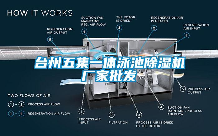 台州五集一体泳池除湿机厂家批发