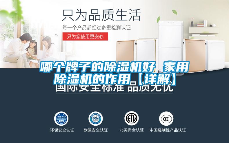 哪个牌子的除湿机好 家用除湿机的作用【详解】