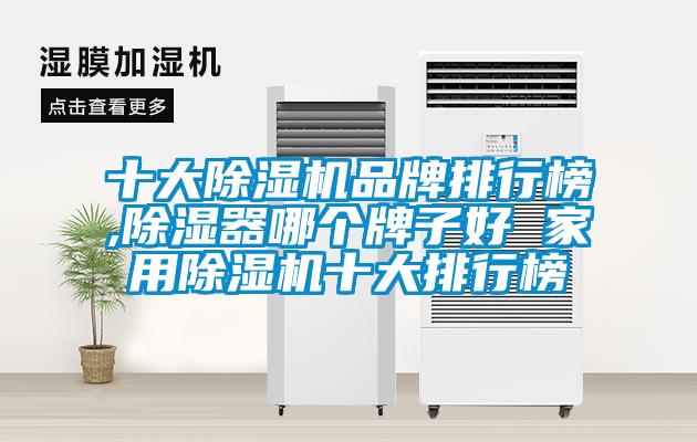 十大除湿机品牌排行榜,除湿器哪个牌子好 家用除湿机十大排行榜
