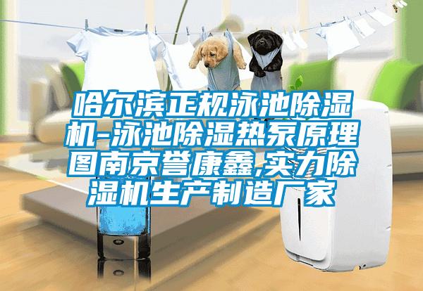 哈尔滨正规泳池除湿机-泳池除湿热泵原理图南京誉康鑫,实力除湿机生产制造厂家
