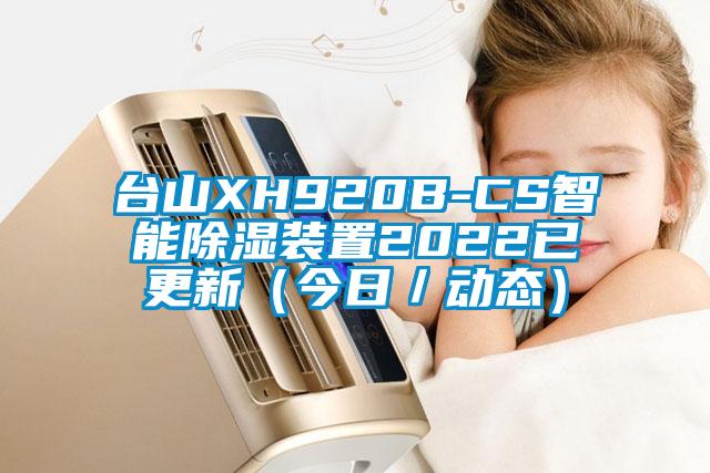 台山XH920B-CS智能除湿装置2022已更新（今日／动态）