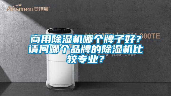 商用除湿机哪个牌子好？请问哪个品牌的除湿机比较专业？