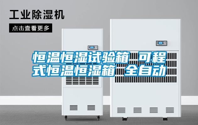 恒温恒湿试验箱 可程式恒温恒湿箱 全自动