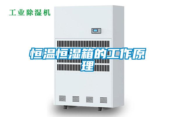 恒温恒湿箱的工作原理