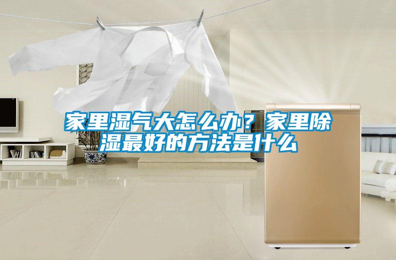 家里湿气大怎么办？家里除湿最好的方法是什么