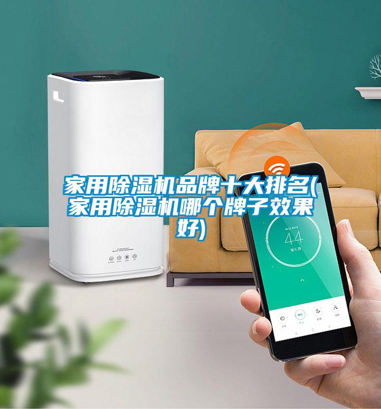 家用除湿机品牌十大排名(家用除湿机哪个牌子效果好)