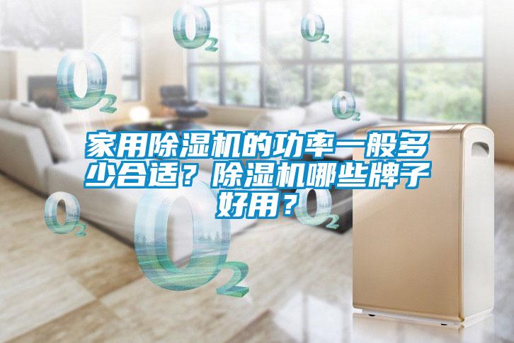 家用除湿机的功率一般多少合适？除湿机哪些牌子好用？