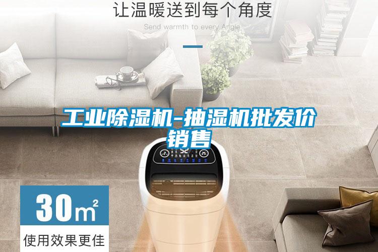 工业除湿机-抽湿机批发价销售
