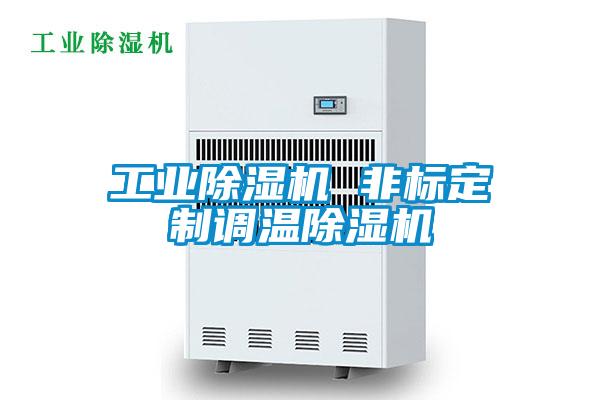 工业除湿机 非标定制调温除湿机