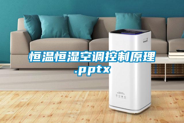 恒温恒湿空调控制原理.pptx