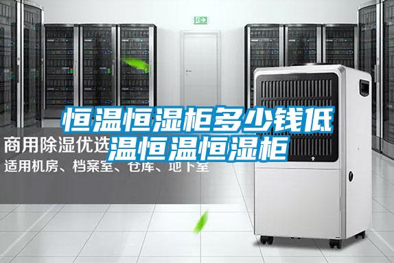 恒温恒湿柜多少钱低温恒温恒湿柜