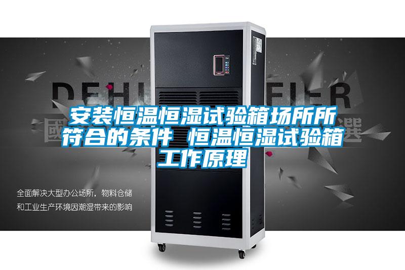 安装恒温恒湿试验箱场所所符合的条件 恒温恒湿试验箱工作原理