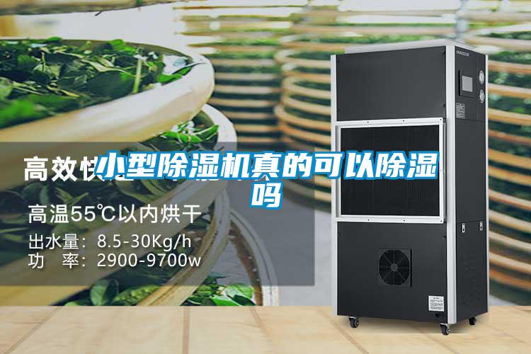 小型除湿机真的可以除湿吗