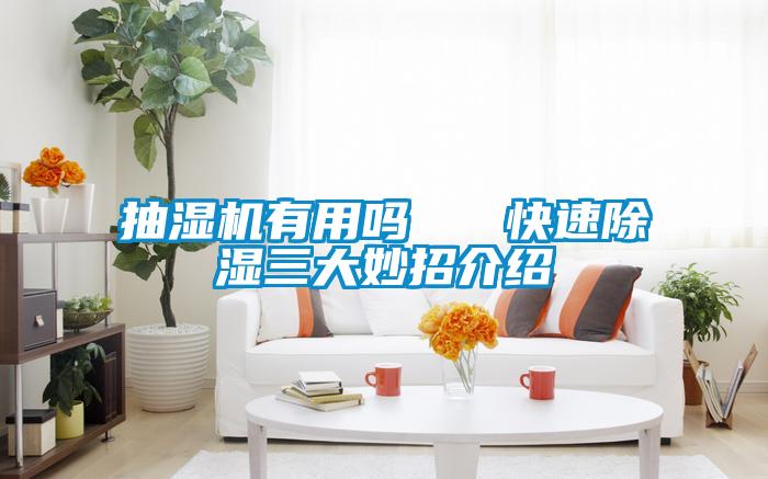 抽湿机有用吗   快速除湿三大妙招介绍