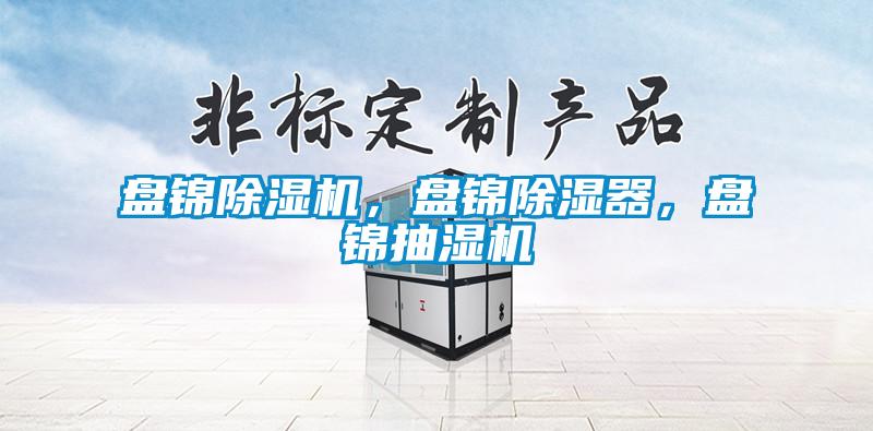 盘锦除湿机，盘锦除湿器，盘锦抽湿机
