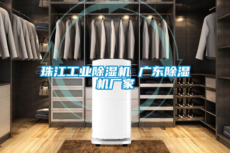 珠江工业除湿机 广东除湿机厂家