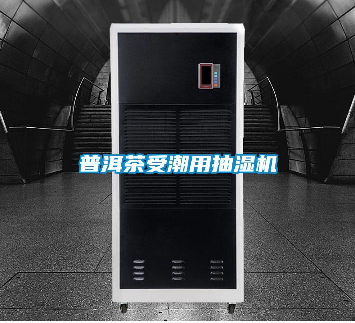 普洱茶受潮用抽湿机
