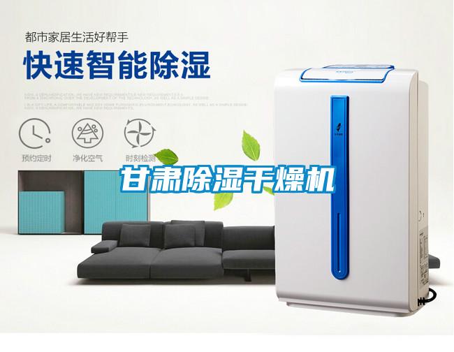 甘肃除湿干燥机