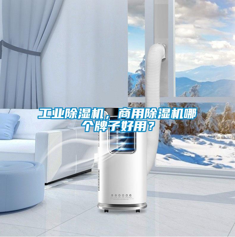工业除湿机，商用除湿机哪个牌子好用？
