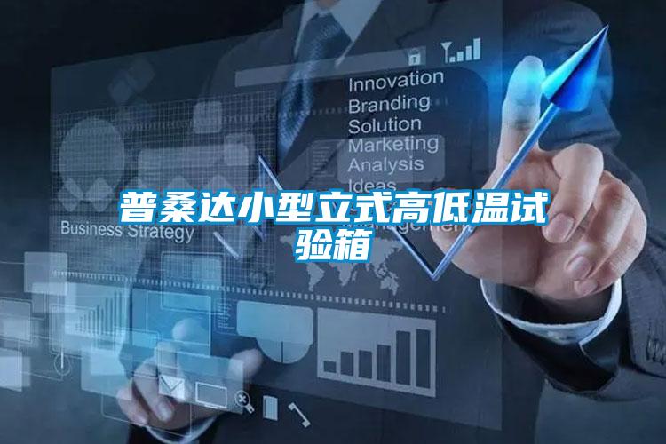 普桑达小型立式高低温试验箱