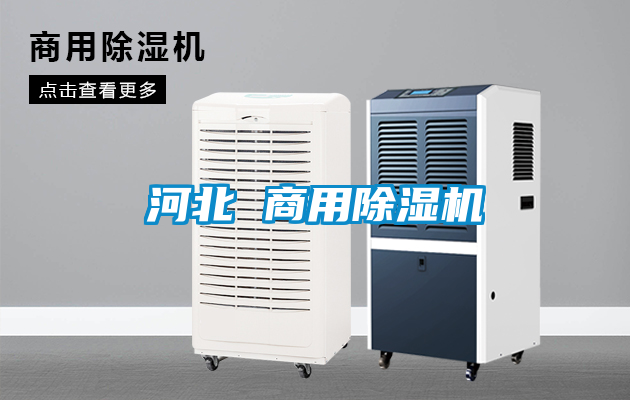 河北 商用除湿机