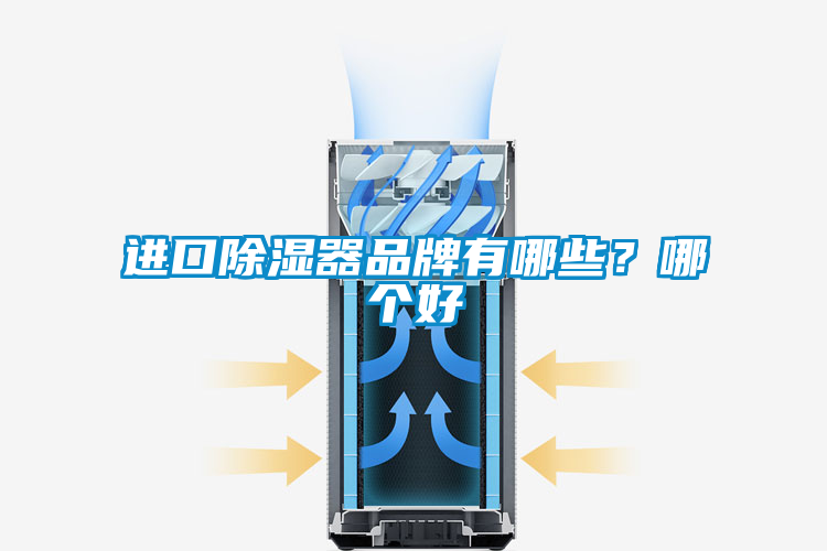 进口除湿器品牌有哪些？哪个好