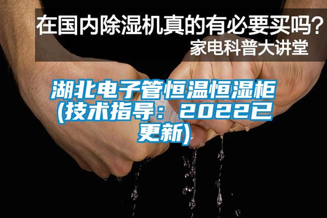 湖北电子管恒温恒湿柜(技术指导：2022已更新)