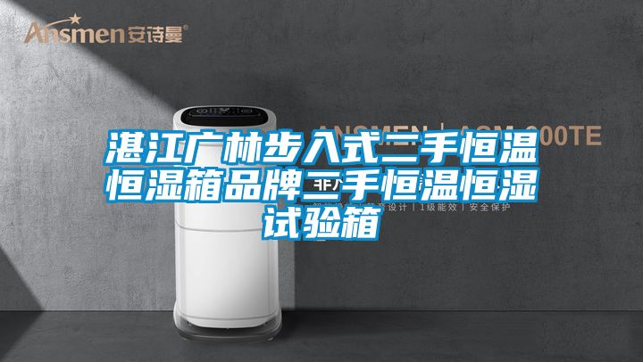 湛江广林步入式二手恒温恒湿箱品牌二手恒温恒湿试验箱