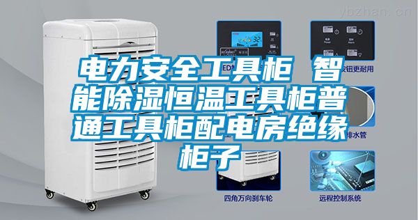 电力安全工具柜 智能除湿恒温工具柜普通工具柜配电房绝缘柜子