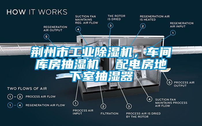 荆州市工业除湿机，车间库房抽湿机  配电房地下室抽湿器