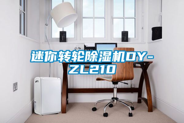 迷你转轮除湿机DY-ZL210