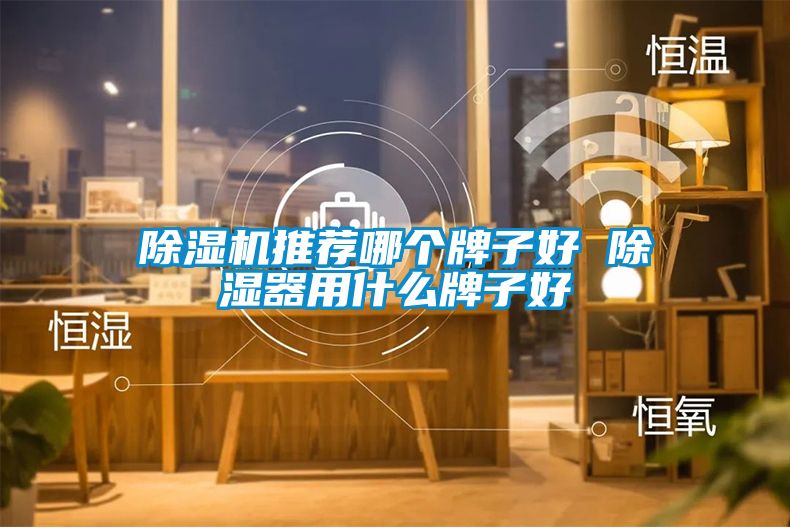 除湿机推荐哪个牌子好 除湿器用什么牌子好