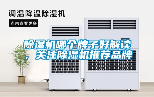 除湿机哪个牌子好解读，关注除湿机推荐品牌