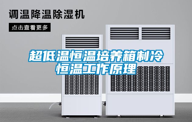 超低温恒温培养箱制冷恒温工作原理