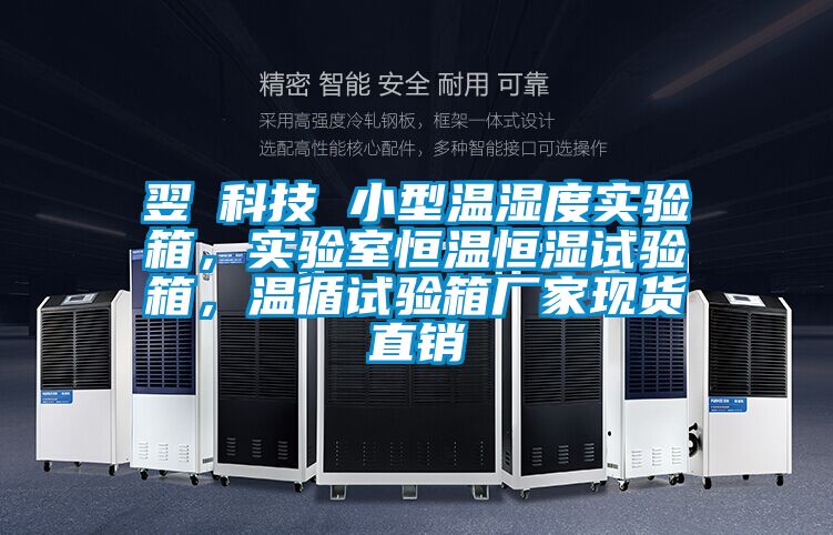 翌昇科技 小型温湿度实验箱，实验室恒温恒湿试验箱，温循试验箱厂家现货直销