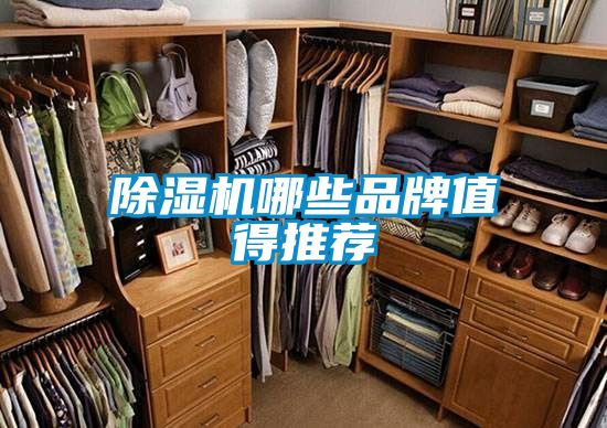 除湿机哪些品牌值得推荐